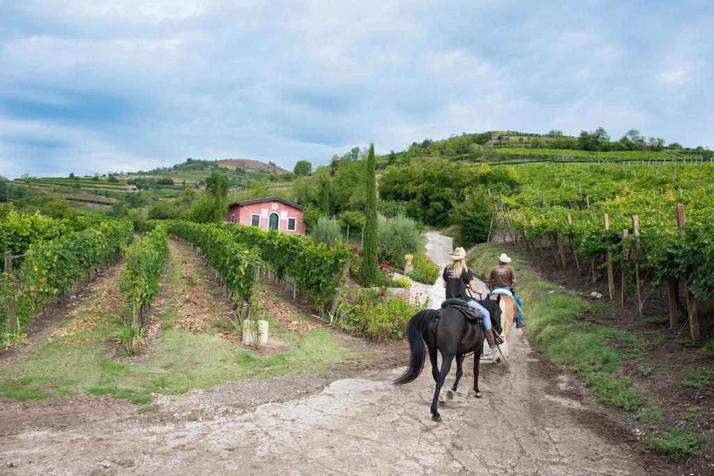 Casa Costa Relais B&B Monteforte d'Alpone Luaran gambar