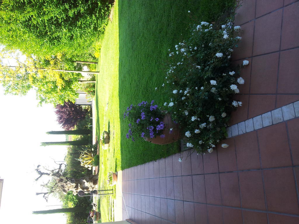 Casa Costa Relais B&B Monteforte d'Alpone Luaran gambar