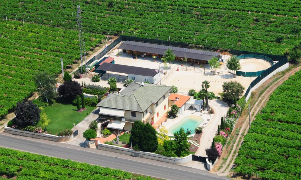 Casa Costa Relais B&B Monteforte d'Alpone Luaran gambar